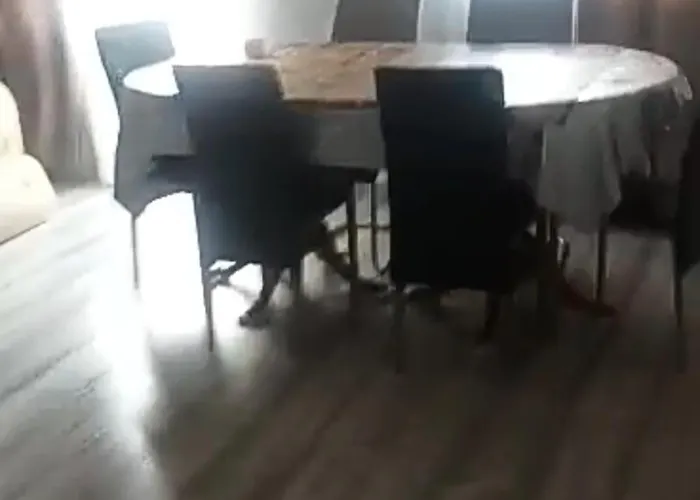 Appartement Juan Carlet